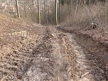So sieht es im Naturschutzgebiet aus (Foto: privat)