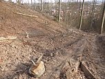 So sieht es im Naturschutzgebiet aus (Foto: privat)