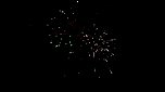 Feuerwerk &uuml;ber Nordhausen (Foto: Peter Blei)