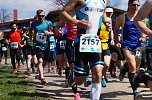 2. Harztorlauf (Foto: Sandra Witzel)