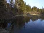 Moore, Hexen und Harz (Foto: Peter Blei)