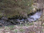 Moore, Hexen und Harz (Foto: Peter Blei)