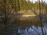 Moore, Hexen und Harz (Foto: Peter Blei)