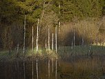 Moore, Hexen und Harz (Foto: Peter Blei)