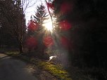 Moore, Hexen und Harz (Foto: Peter Blei)