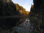 Moore, Hexen und Harz (Foto: Peter Blei)