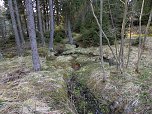 Moore, Hexen und Harz (Foto: Peter Blei)