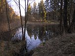Moore, Hexen und Harz (Foto: Peter Blei)