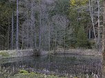 Moore, Hexen und Harz (Foto: Peter Blei)