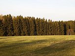 Moore, Hexen und Harz (Foto: Peter Blei)