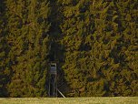 Moore, Hexen und Harz (Foto: Peter Blei)