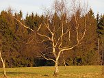 Moore, Hexen und Harz (Foto: Peter Blei)