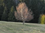 Moore, Hexen und Harz (Foto: Peter Blei)
