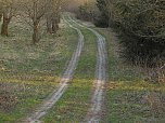 Moore, Hexen und Harz (Foto: Peter Blei)