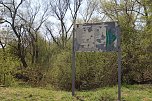 An der Salza kann man wieder spazieren (Foto: Angelo Glashagel)