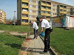 VdK dabei - Fr&uuml;hjahrsputz auf dem K&ouml;nigstuhl (Foto: Ina R&ouml;mer)