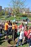 Bereits 10. Baumfest in Sondershausen (Foto: Karl-Heinz Herrmann)