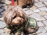 Der 1. Mai in Nordhausen - ein Nachtrag (Foto: Peter Blei)