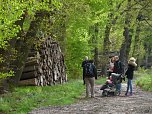 Nordh&auml;user Doppelk&ouml;rner wanderten (Foto: A. Richter)