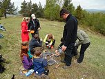 Nordh&auml;user Doppelk&ouml;rner wanderten (Foto: A. Richter)