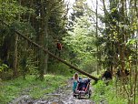 Nordh&auml;user Doppelk&ouml;rner wanderten (Foto: A. Richter)