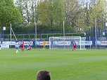 Herthas U23 gewinnt gegen Wacker (Foto: Christian Greiner)