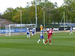 Herthas U23 gewinnt gegen Wacker (Foto: Christian Greiner)
