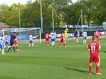 Herthas U23 gewinnt gegen Wacker (Foto: Christian Greiner)