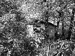 Die dunkle Seite von Nordhausen (Foto: Peter Blei)