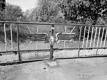 Die dunkle Seite von Nordhausen (Foto: Peter Blei)