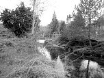Die dunkle Seite von Nordhausen (Teil 2) (Foto: Peter Blei)