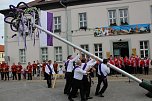Fliederkrone wurde gesetzt (Foto: Karl-Heinz Herrmann)