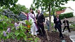 Fliederbaum an neuem Ort gepflanzt (Foto: Privat)