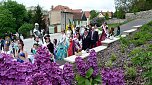 Fliederbaum an neuem Ort gepflanzt (Foto: Privat)