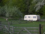 Zu Besuch in Steinsee (Foto: Peter Blei)