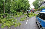 Feuerwehreinsatz (Foto: Feuerwehr Heiligenstadt) Feuerwehreinsatz (Foto: Feuerwehr Heiligenstadt)