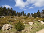 Vatertag auf den Brocken (Foto: Peter Blei)