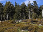 Vatertag auf den Brocken (Foto: Peter Blei)