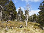 Vatertag auf den Brocken (Foto: Peter Blei)