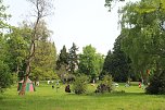 M&auml;rchenpicknick im Park Hohenrode (Foto: Angelo Glashagel)
