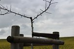 Vandalismus am Radweg? (Foto: Karl-Heinz Herrmann)