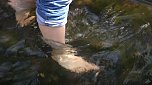 Zum ersten Nordh&auml;user "Anwassern" waren viele Teilnehmer und Schaulustige erschienen (Foto: Angelo Glashagel)