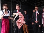 Stadtfest in Leinefelde (Foto: Ilka K&uuml;hn)