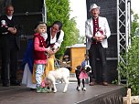 Stadtfest in Leinefelde (Foto: Ilka K&uuml;hn)