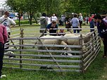 Stadtfest in Leinefelde (Foto: Ilka K&uuml;hn)