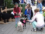 Stadtfest in Leinefelde (Foto: Ilka K&uuml;hn)