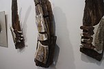 In der neuen Ausstellung der Kreissparkasse "Verg&auml;nglichkeiten" werden Natur und Handwerkskunst miteinander verbunden (Foto: Angelo Glashagel)