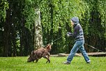 Mantrailing-Seminar auf dem Sondersh&auml;user Hundeplatz (Foto: Privat)