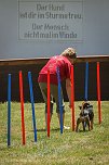 Tag des Hundes (Foto: Jacqueline Lange) Tag des Hundes (Foto: Jacqueline Lange)