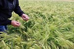 Landwirte auf Flurfahrt (Foto: Karl-Heinz Herrmann)